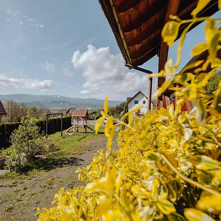 Karkonosze Holiday home Wojcieszyce